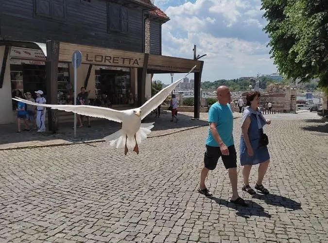 Prestige Private Apartment-studio 46 Свети-Влас