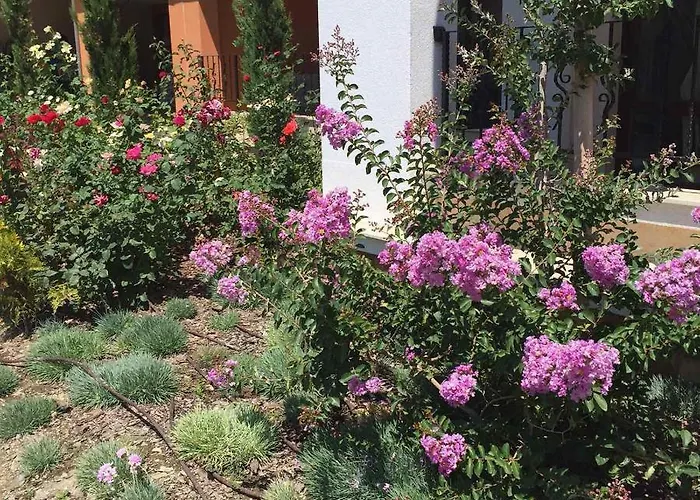 Prestige Private Apartment-studio 46 Свети-Влас